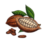 cocoa vector superfood drawing set organic healthy food sketch removebg preview